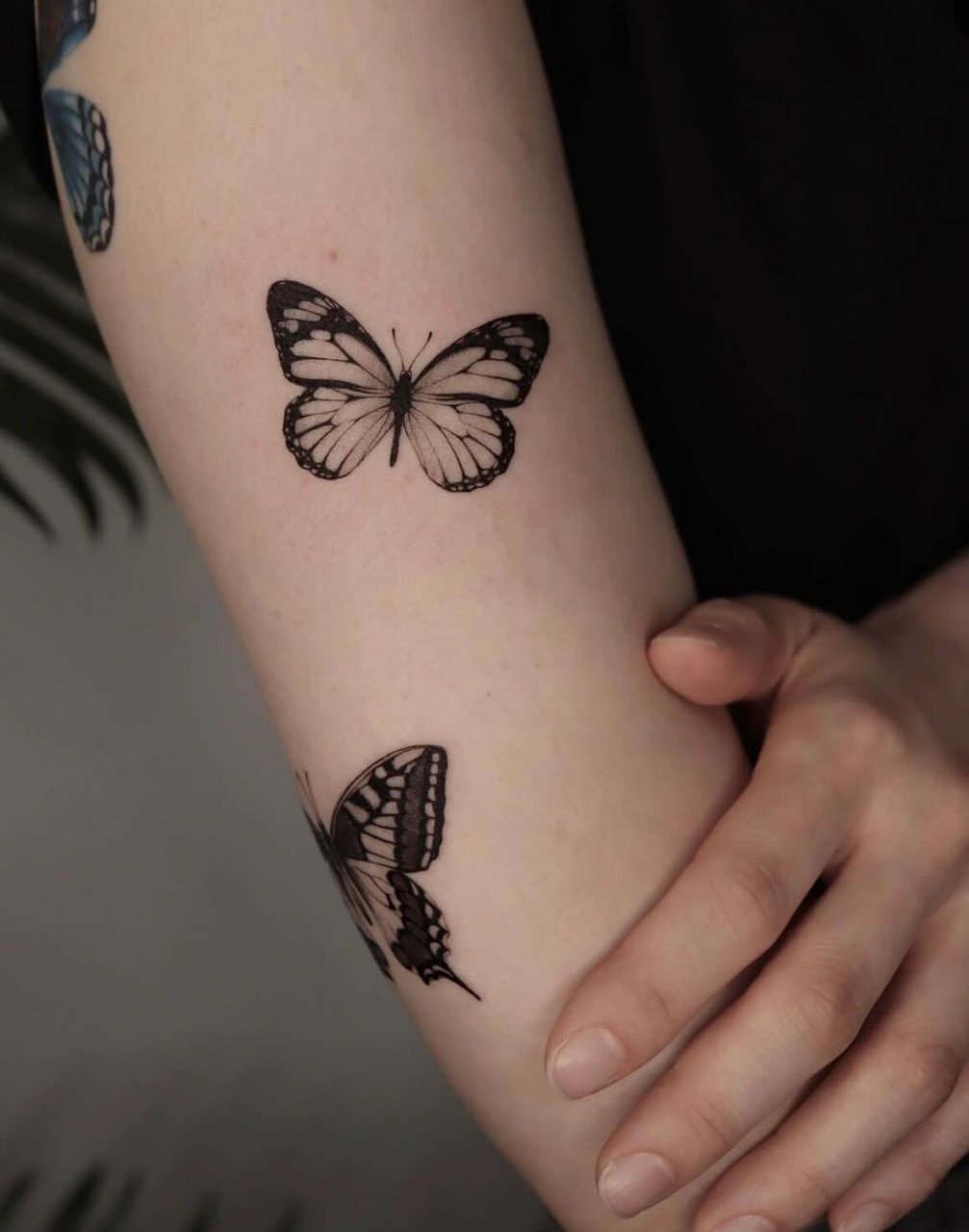 纹身图案分享|蝴蝶|黑白