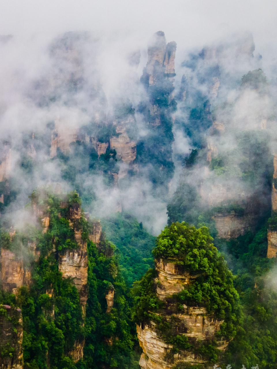 张家界悬浮山图片