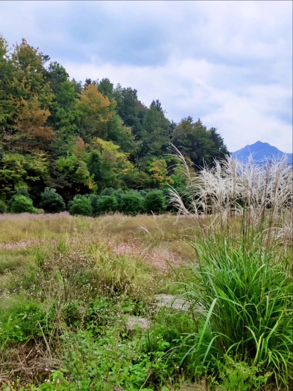 秦望山小环线徒步攻略,始皇登顶俯瞰绍兴城 92秦望山小环线徒步攻略