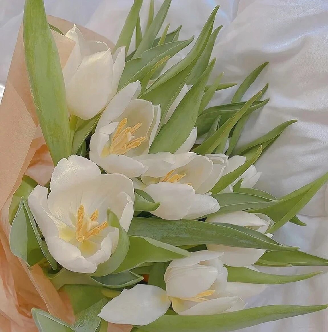 给妈妈找的微信头像