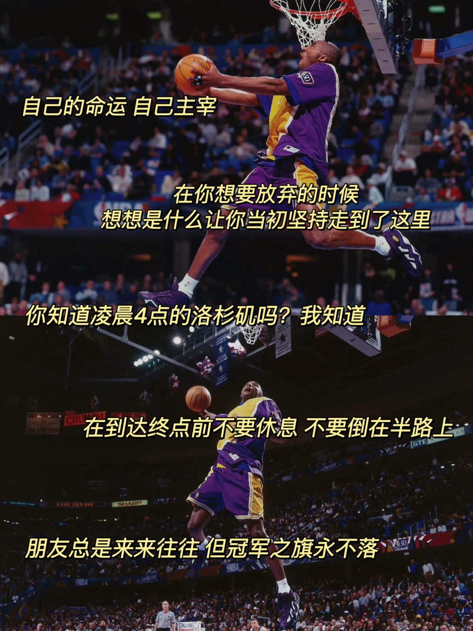 nba励志语录|一日紫金终身湖人🏀科比kob   	 青春因为科比而无憾
