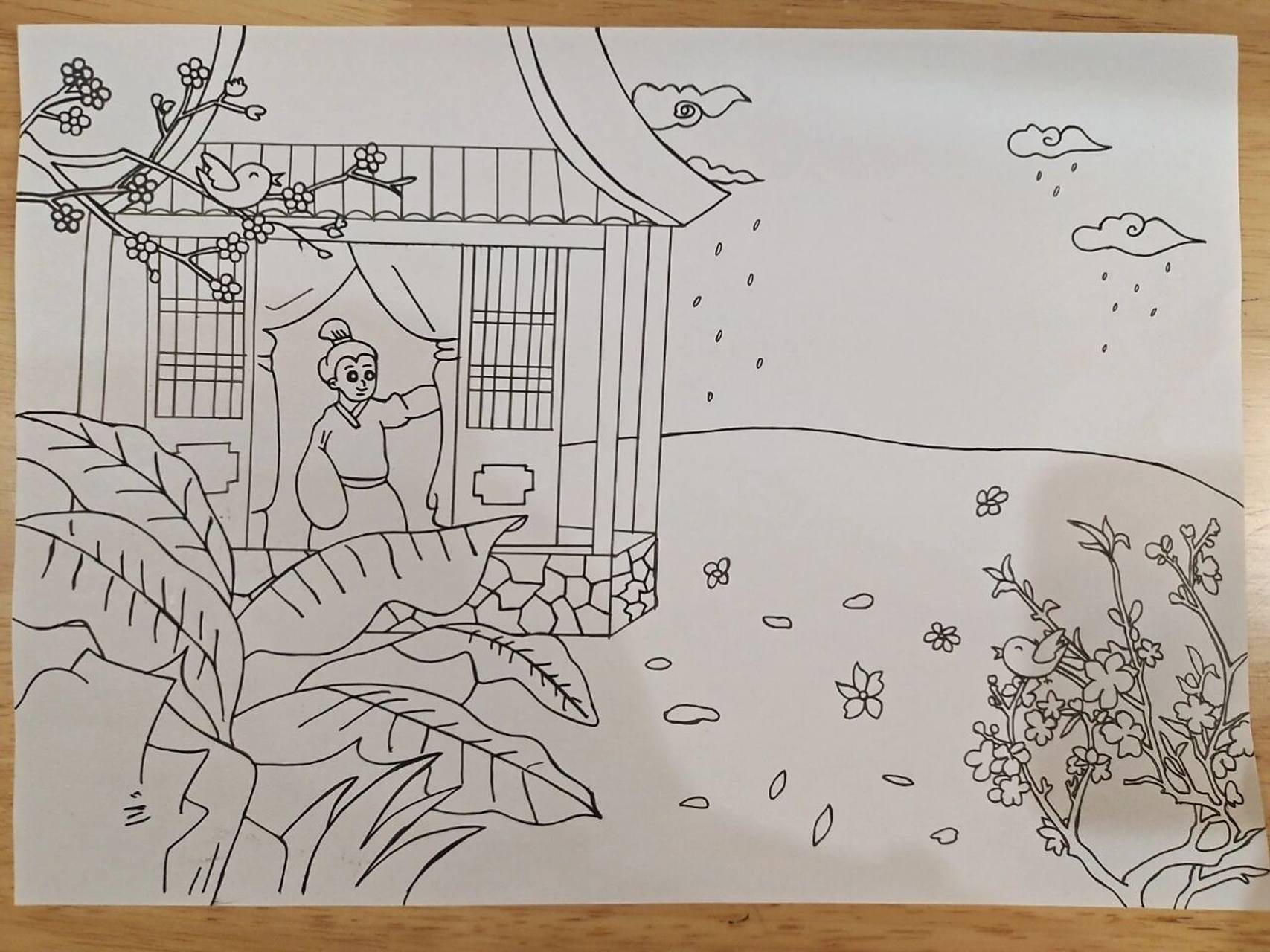 古诗配图 ——春晓