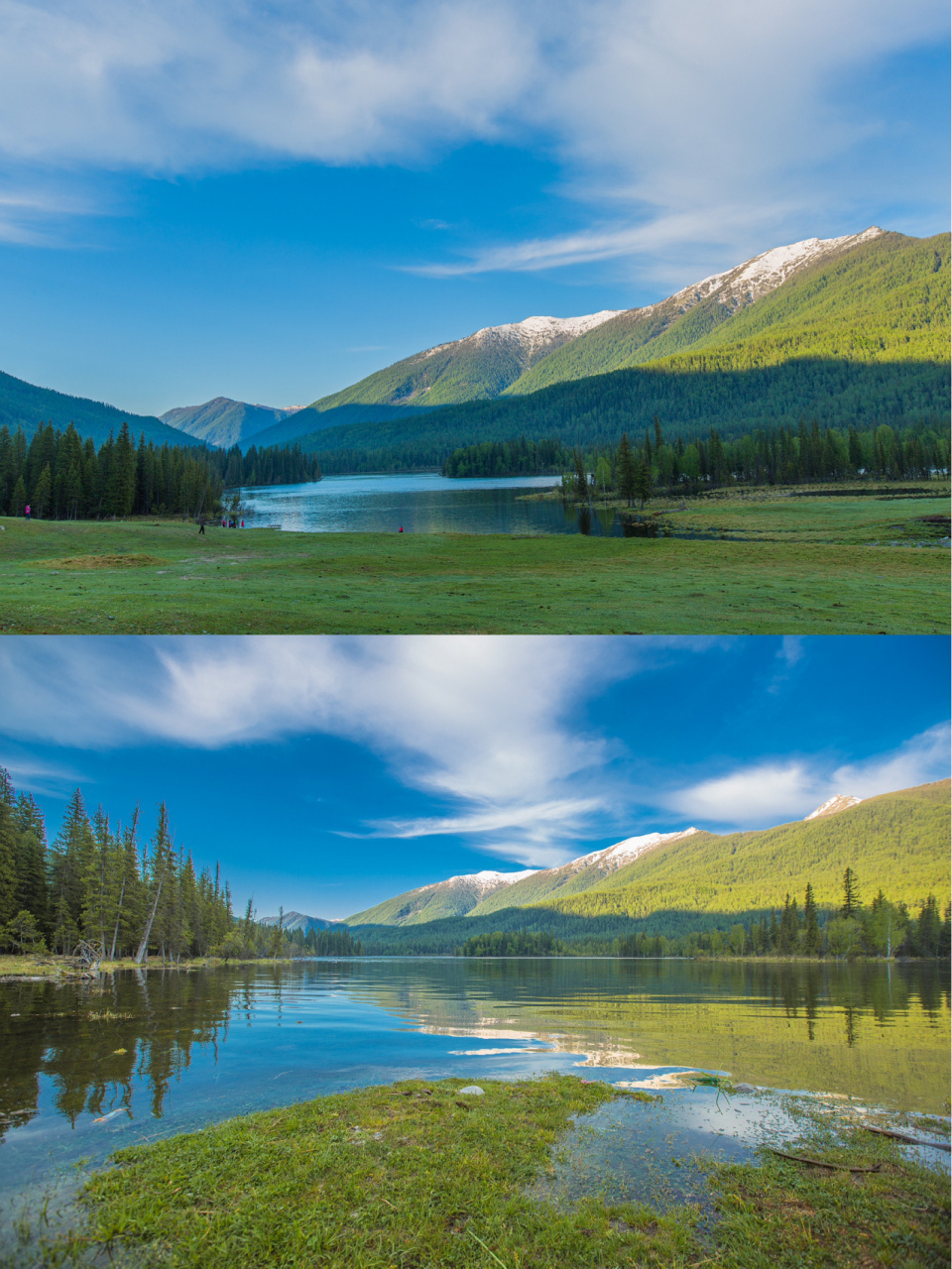 新疆|喀纳斯|人间净土,神的后花园96 98|喀纳斯 「喀纳斯」蒙语中