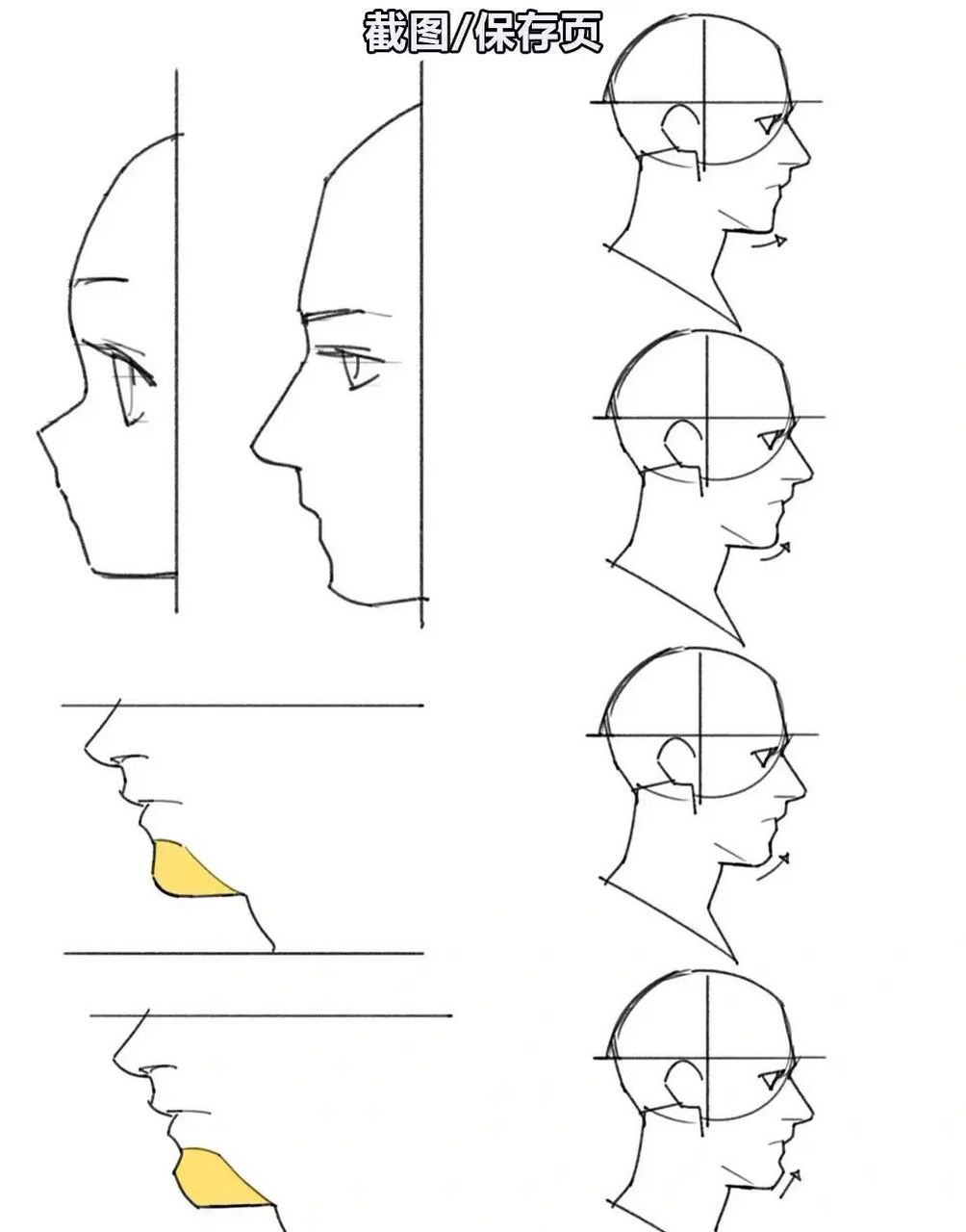零基础学画画|男女侧脸对比