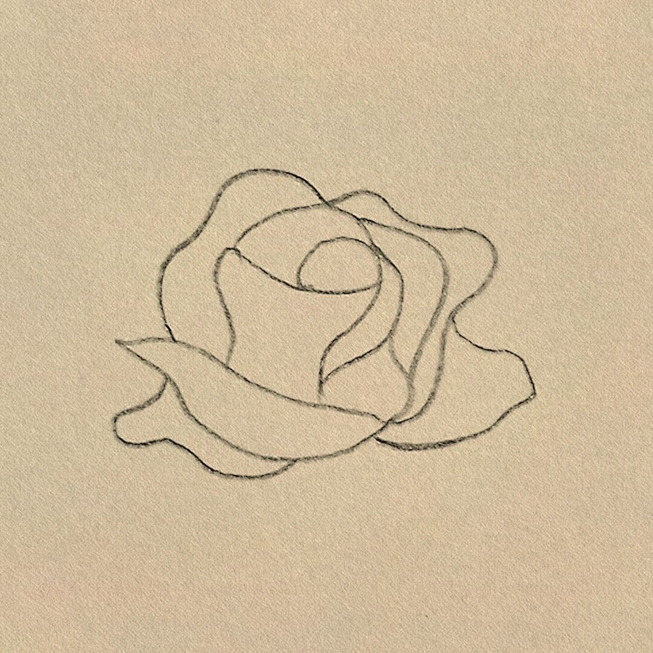 一朵玫瑰花 简笔画图片