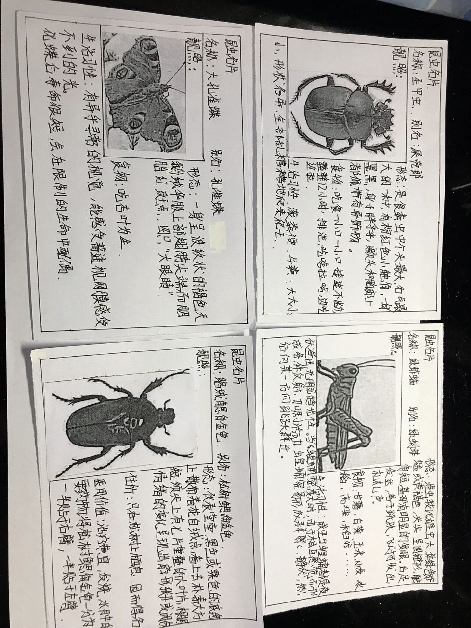 昆虫记介绍卡片图片