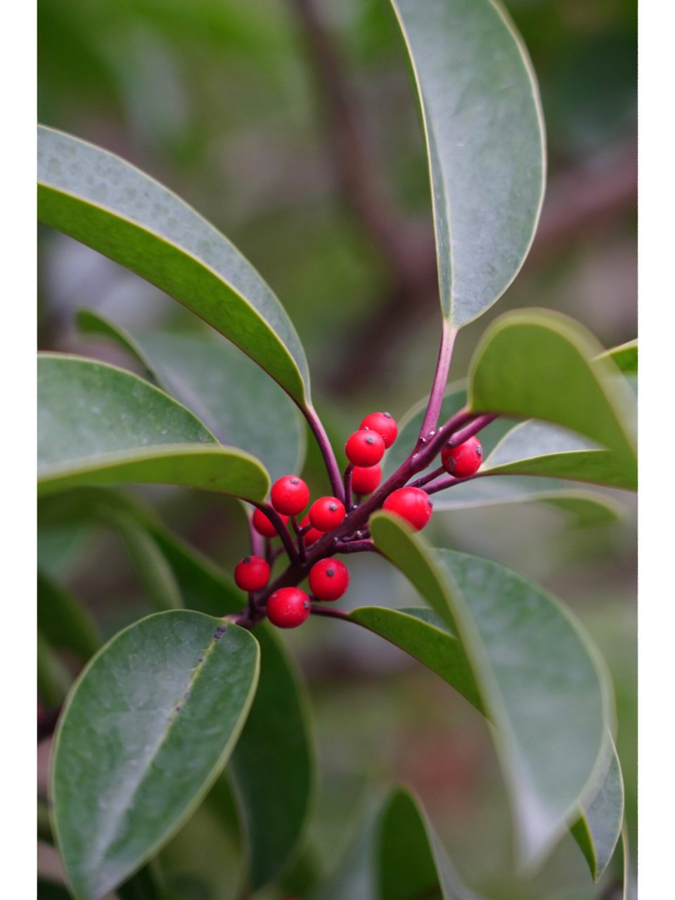 960_1280竖版 竖屏