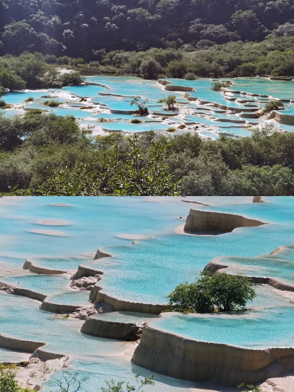 7月9日 黄龙旅游攻略 五彩池实拍 黄龙景区一般会跟九寨沟捆绑一起,前