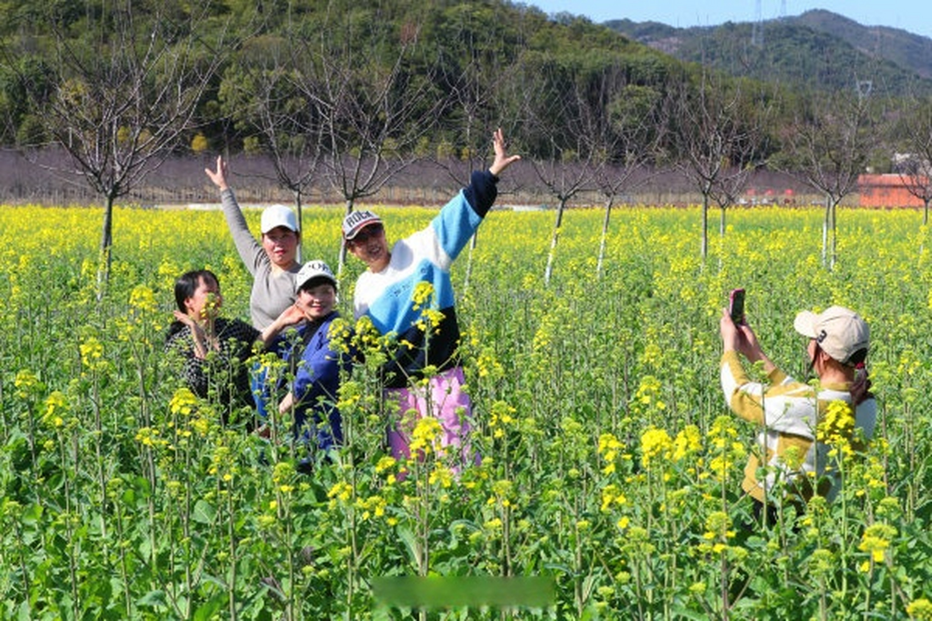 【东阳南马花园村油菜花开引客来】3月8日,游客在东阳市南马镇花园村