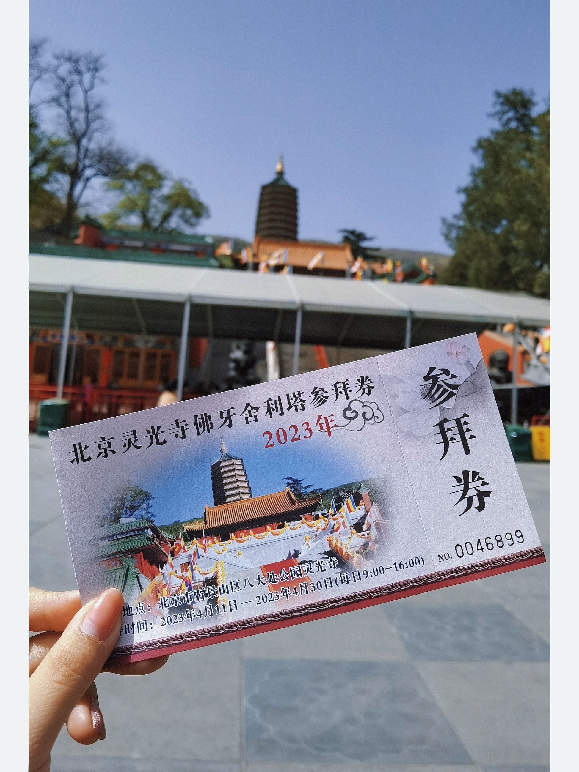 八大处公园灵光寺电话图片