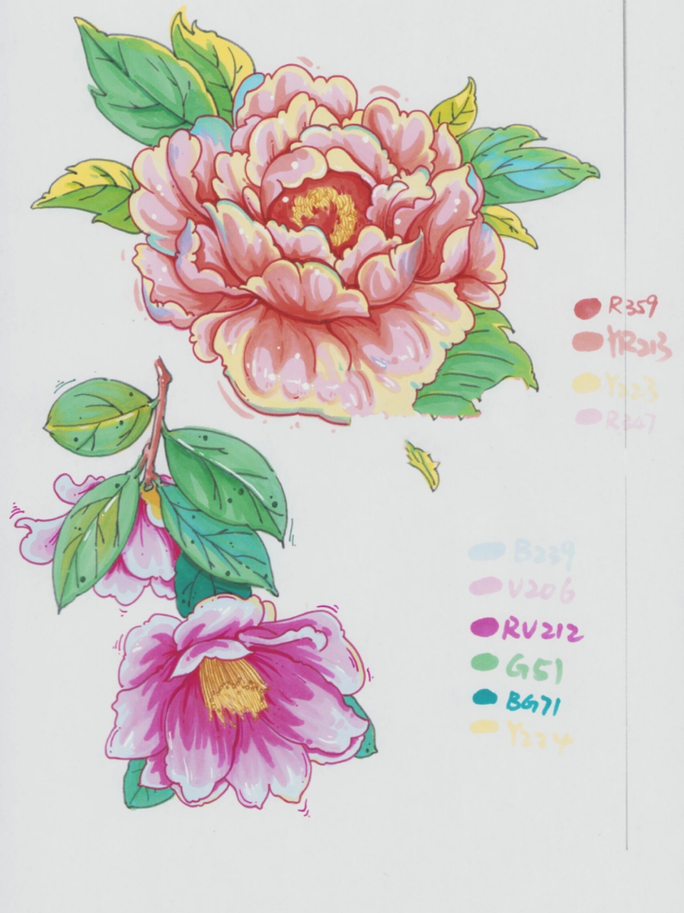 花叶手绘 万能元素 马克笔单体 素材 牡丹花和山茶花,线稿用彩色勾线