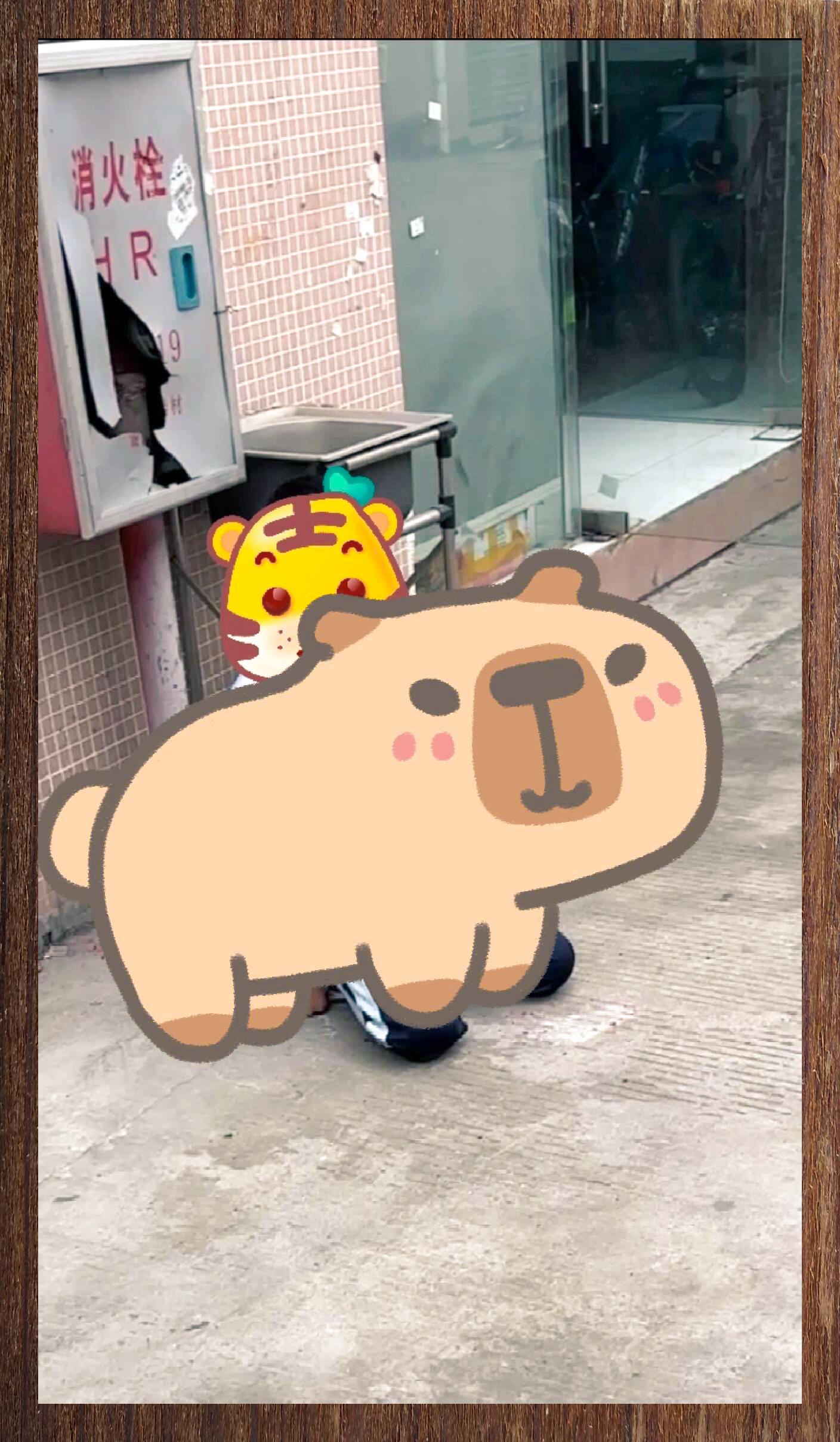 求助: 难题求解求支招