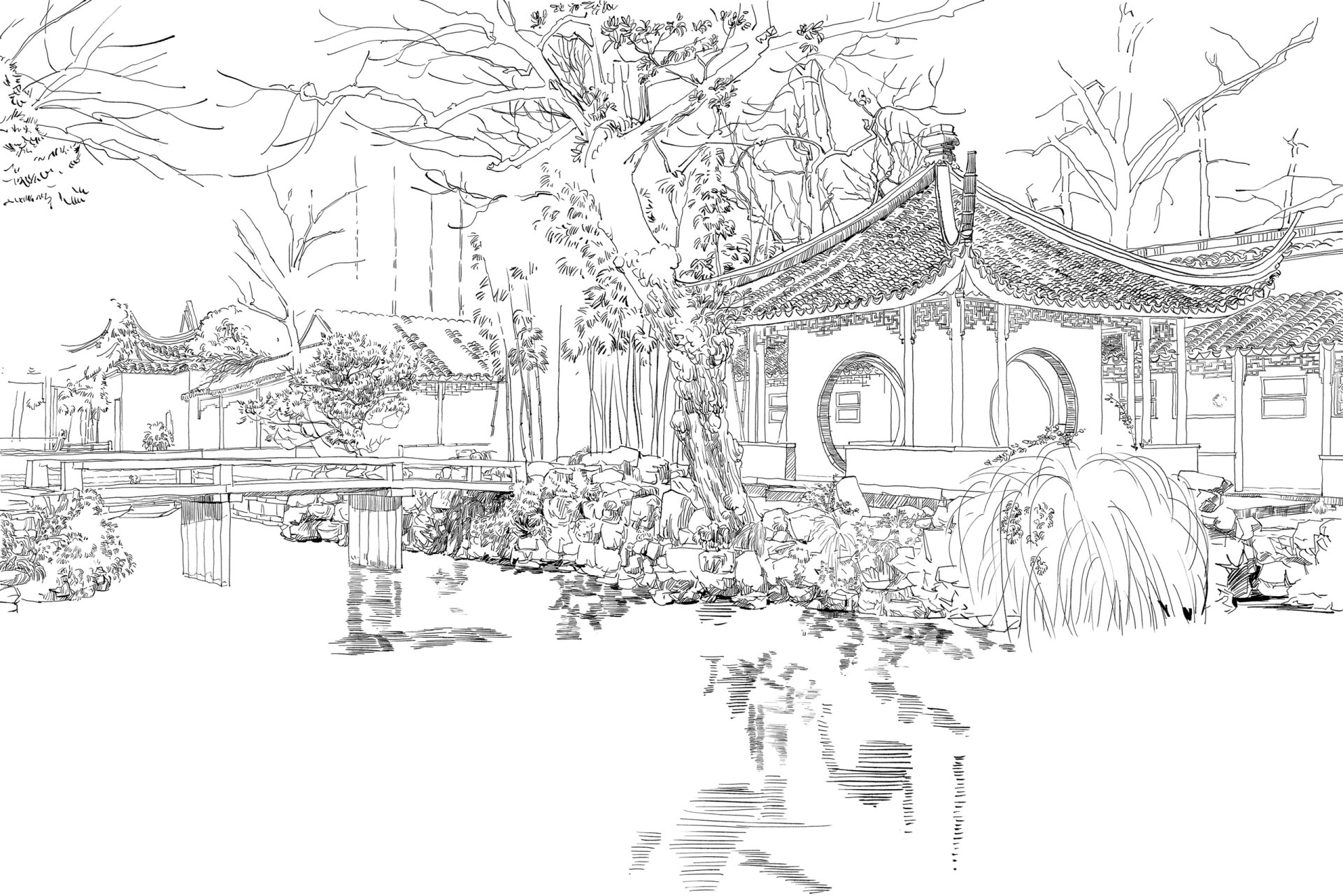手绘 钢笔画 苏州园林 拙政园@采笔题青春的动态