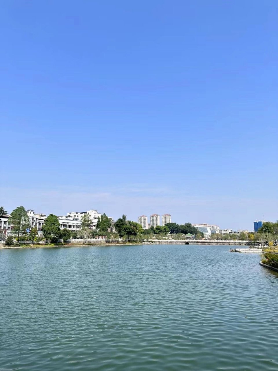 河源|94鳄湖公园 缓存三月的温柔与可爱 93春天当然要去看花呀