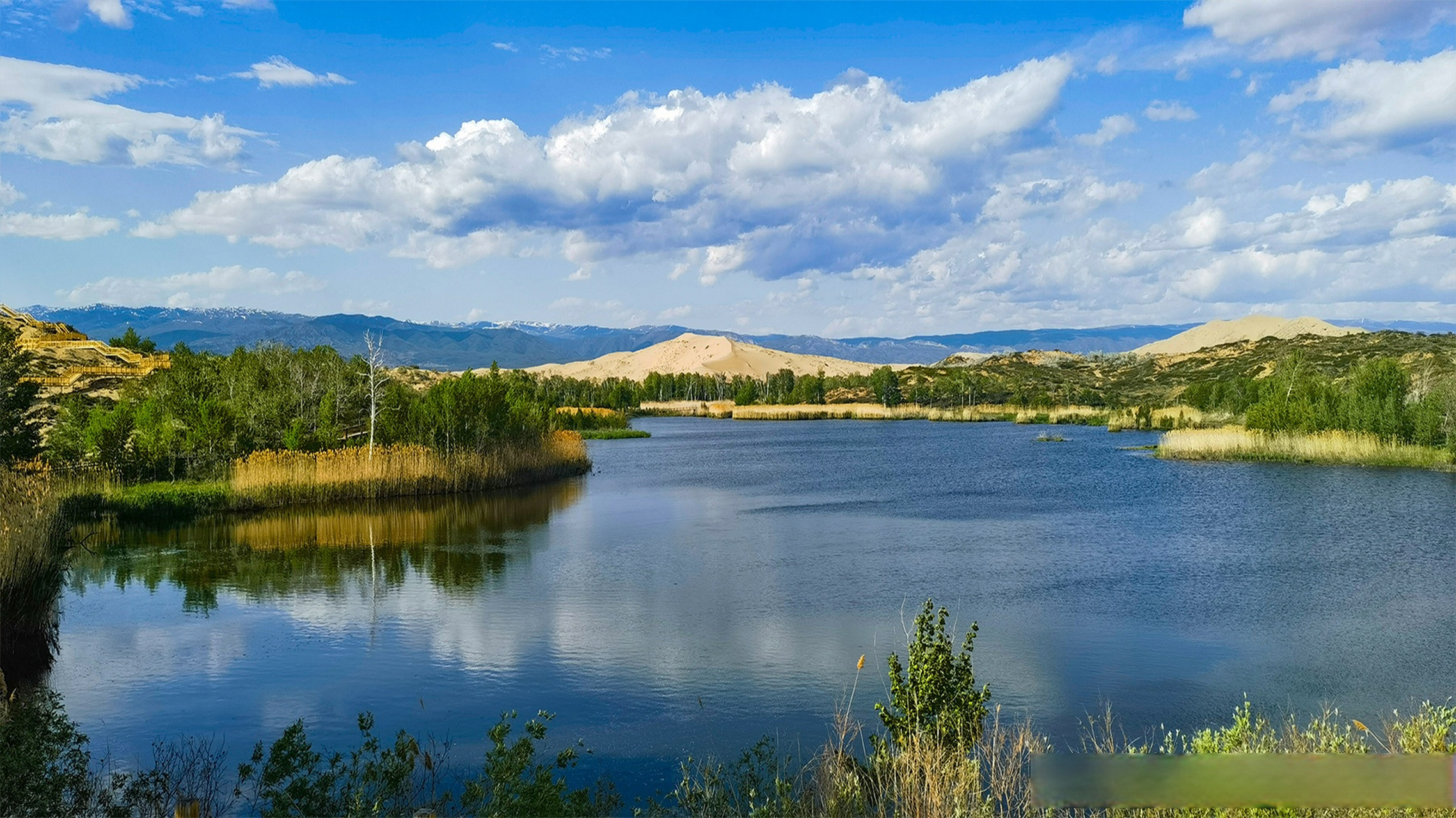 新疆哈巴河:沙丘环碧水 奇迹白沙湖 #2023新疆旅游发展大会# #一起为