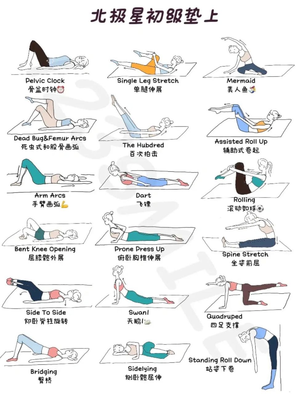 北极星经典垫上-初级18个动作合集 北极星普拉提垫上gateway动作合集