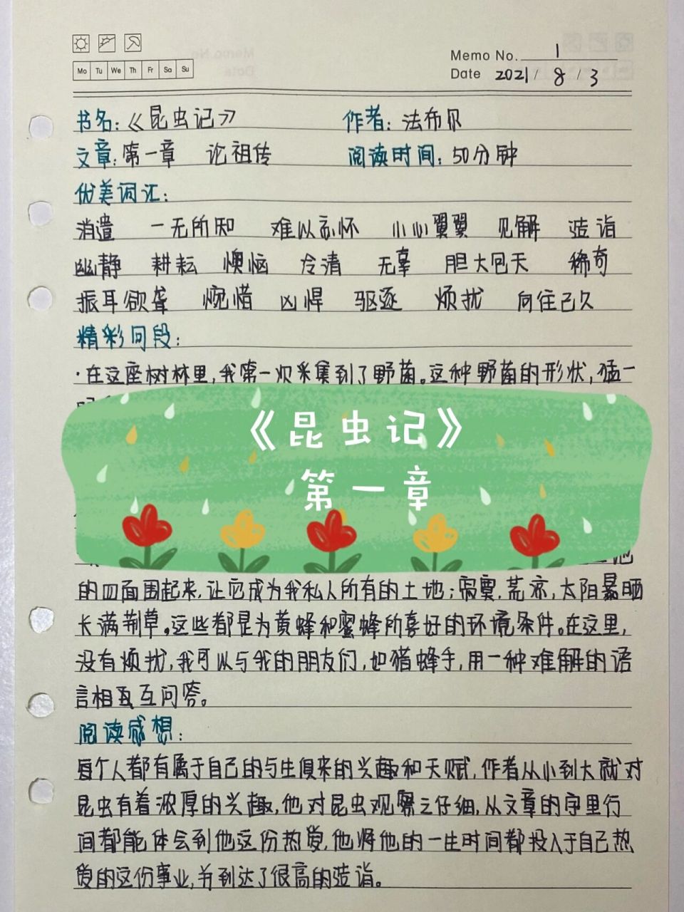 《昆虫记》读书笔记第一章 先努力让自己发光,对的人才能迎着光而来.