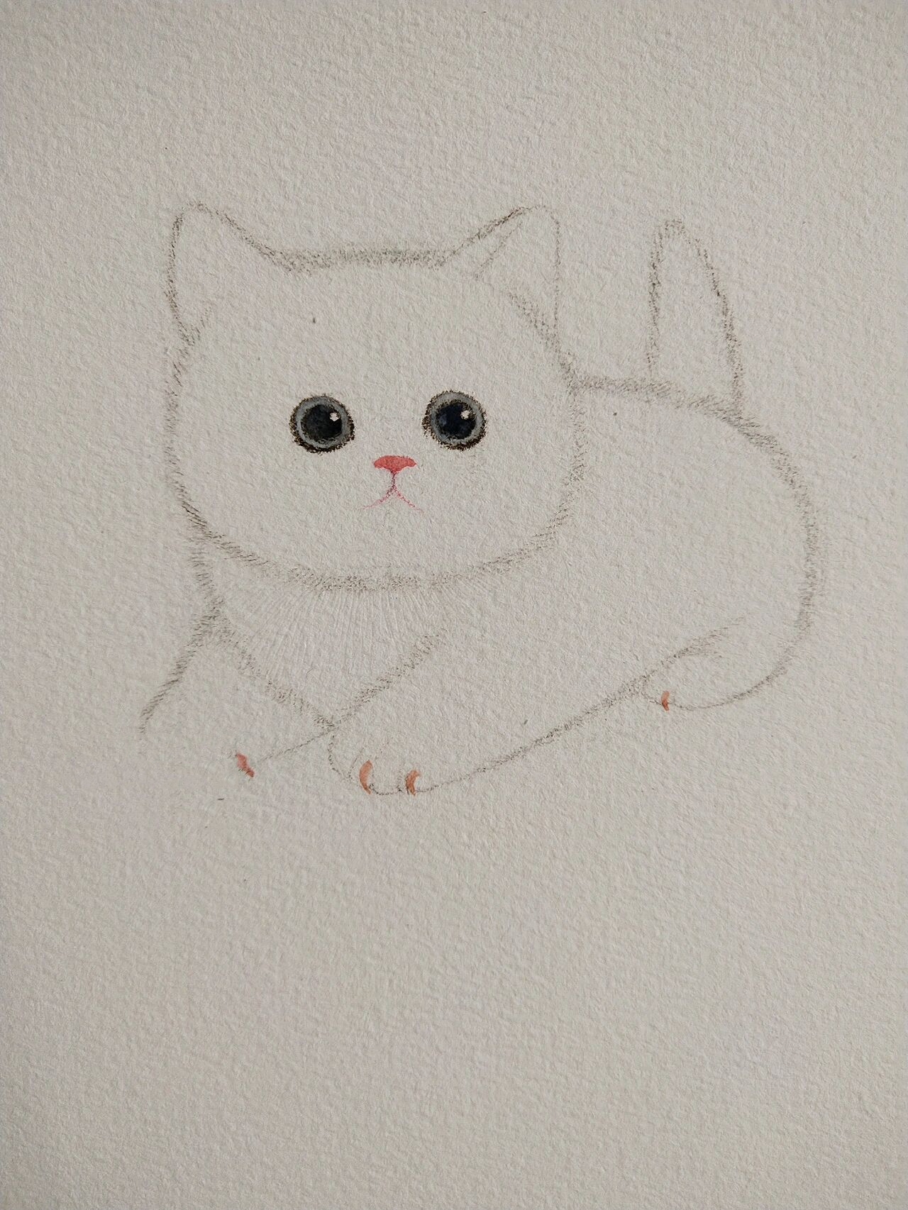 小猫咪🐱&彩铅➕步骤图🐾 ☞绘画工具 🌿画纸:宝虹水彩纸