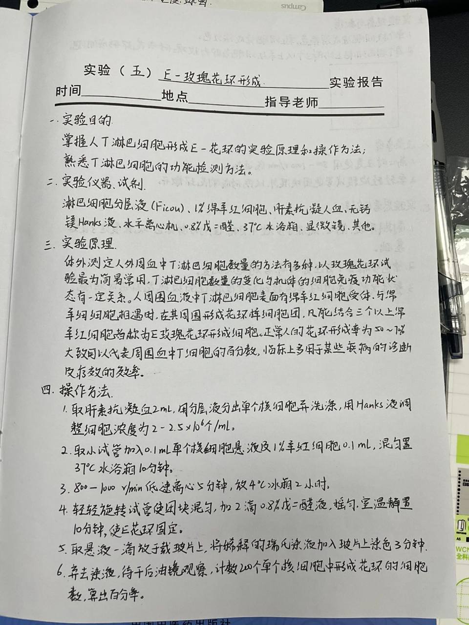 实验报告:e-玫瑰花环形成