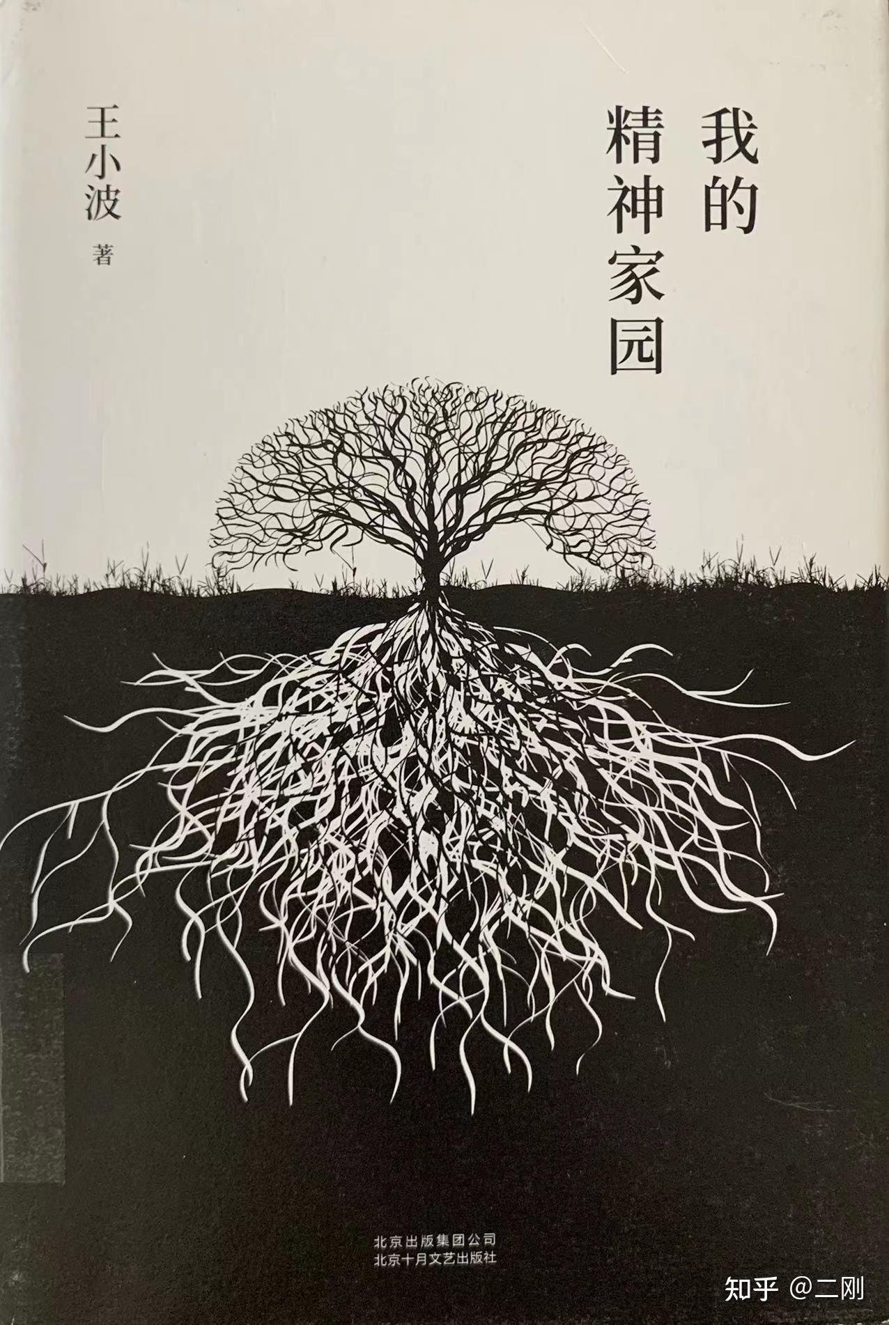 我的精神家园喜欢王小波的杂文集