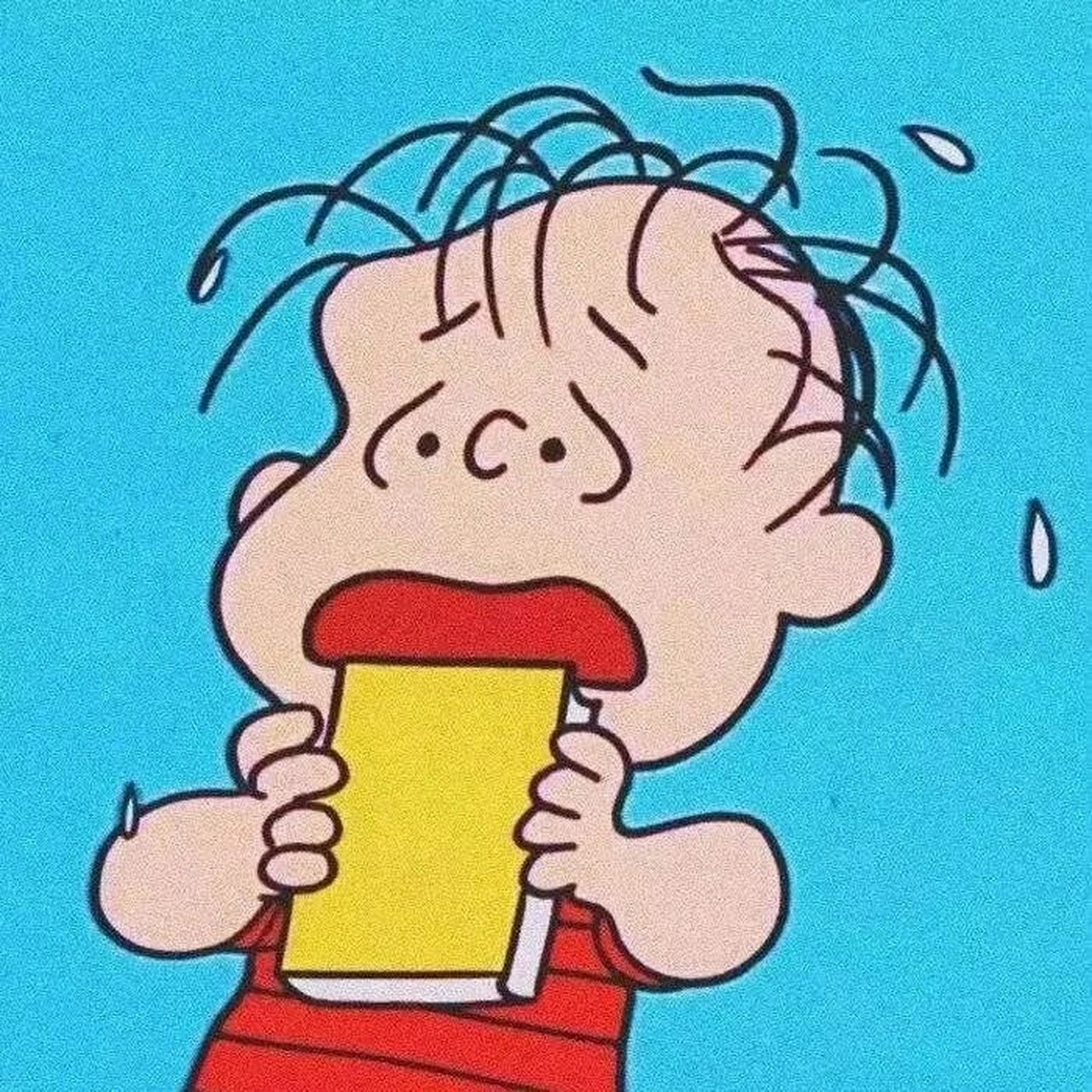 史努比头像第二弹🖤 姓名:查理·布朗 来自:美国漫画《花生漫画》