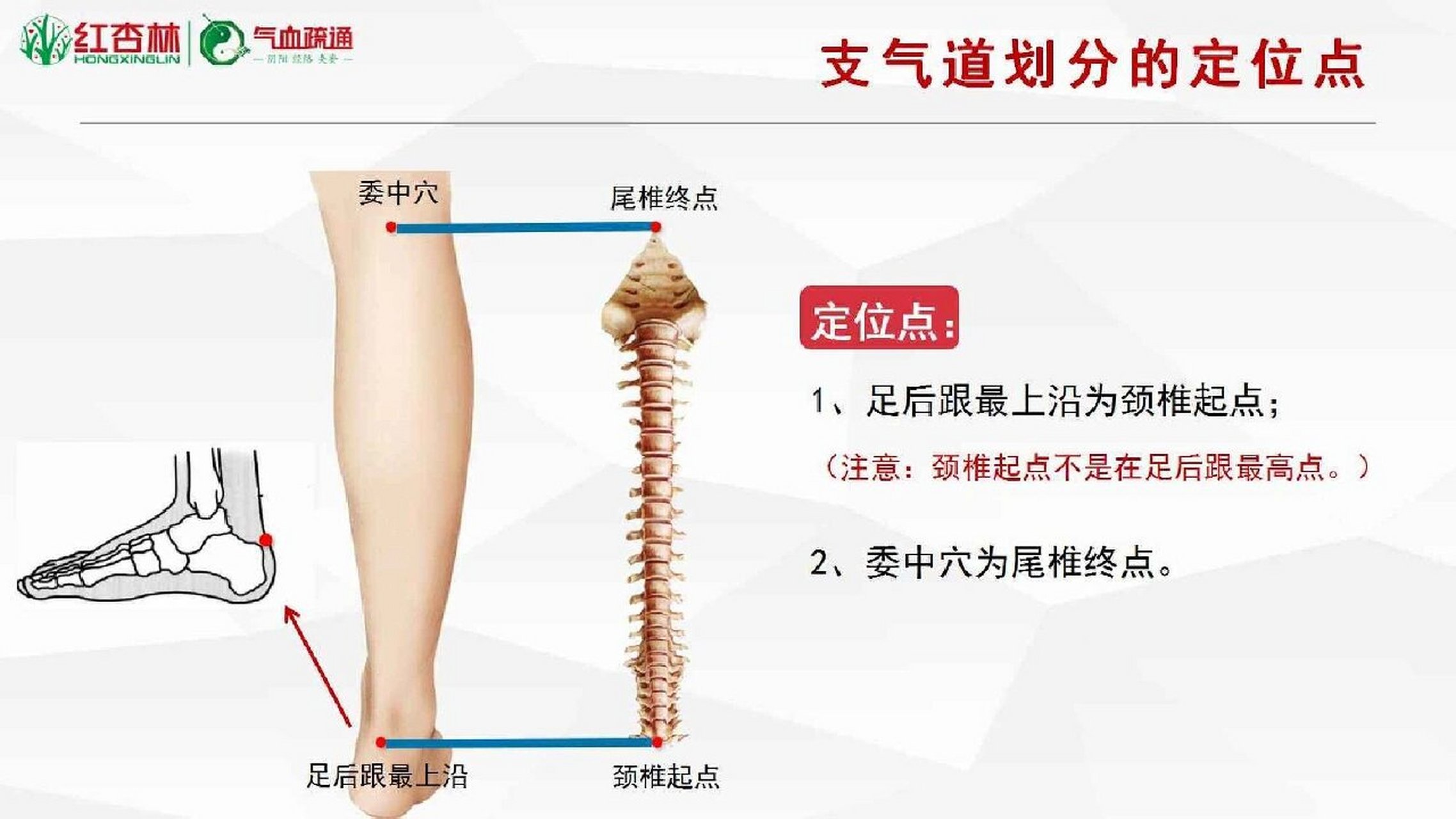 气端的准确位置图作用图片