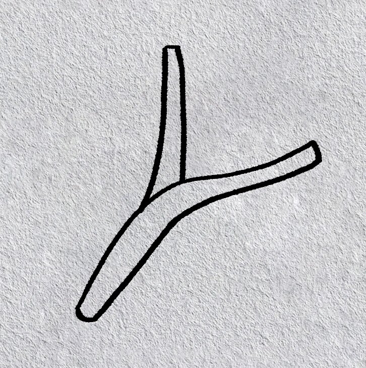 大葱的简笔画(附步骤