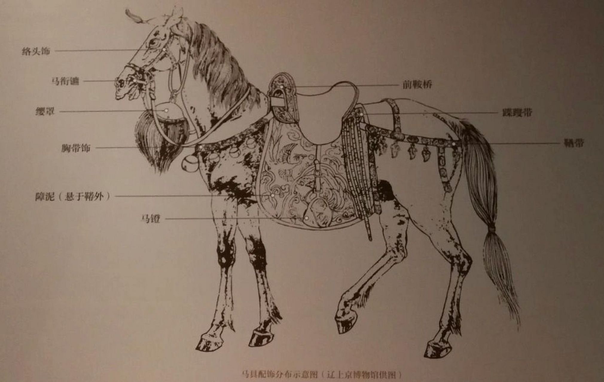 兵马俑博物馆中就已经可以看到古代马具的精品.