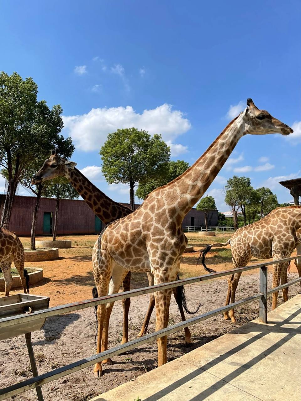 贵港平南 | 雄森动物大世界 09订房:平南雄景生态酒店90,我是在