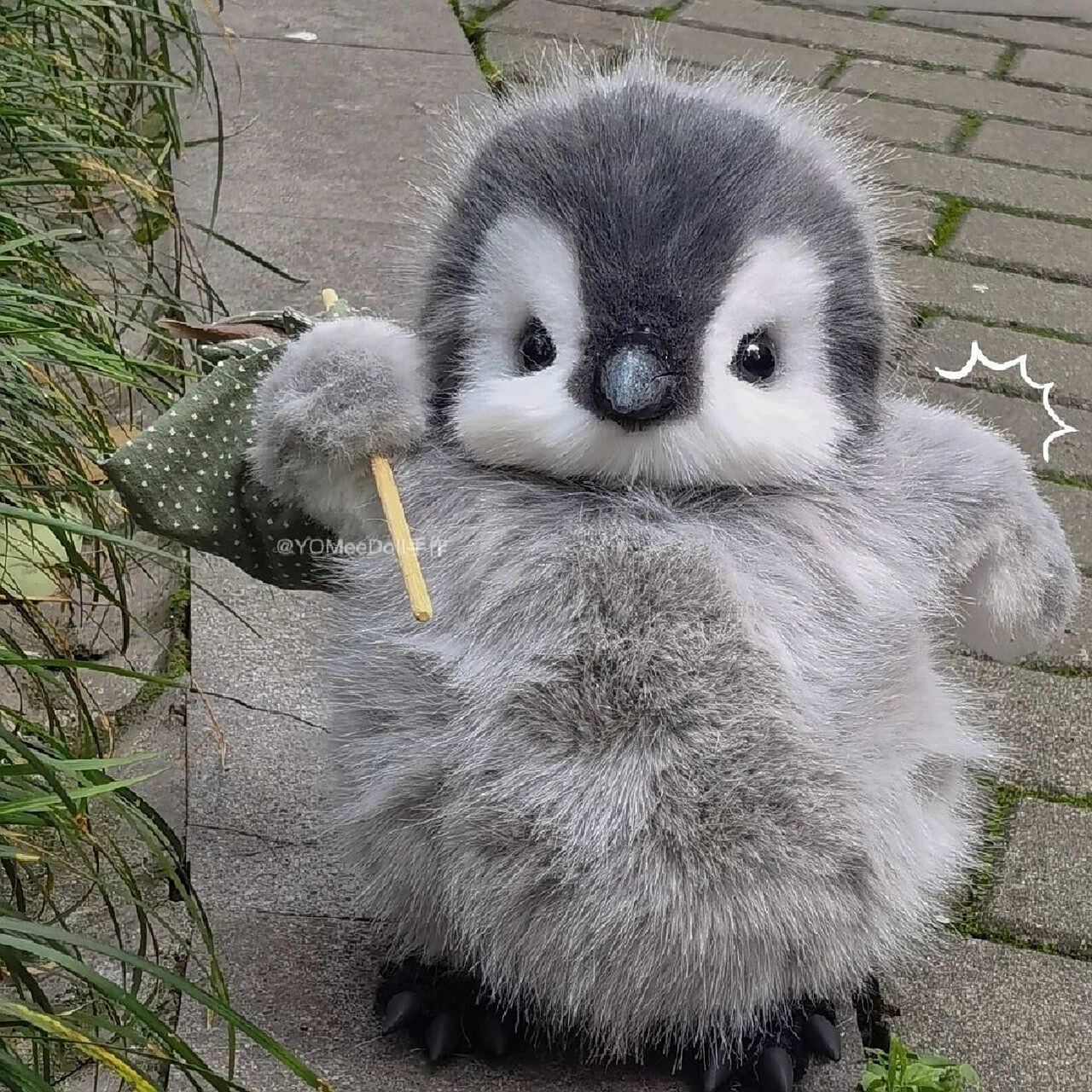 可爱动物企鹅头像|闺蜜姐妹情侣搞怪 快来 最近可爱头像