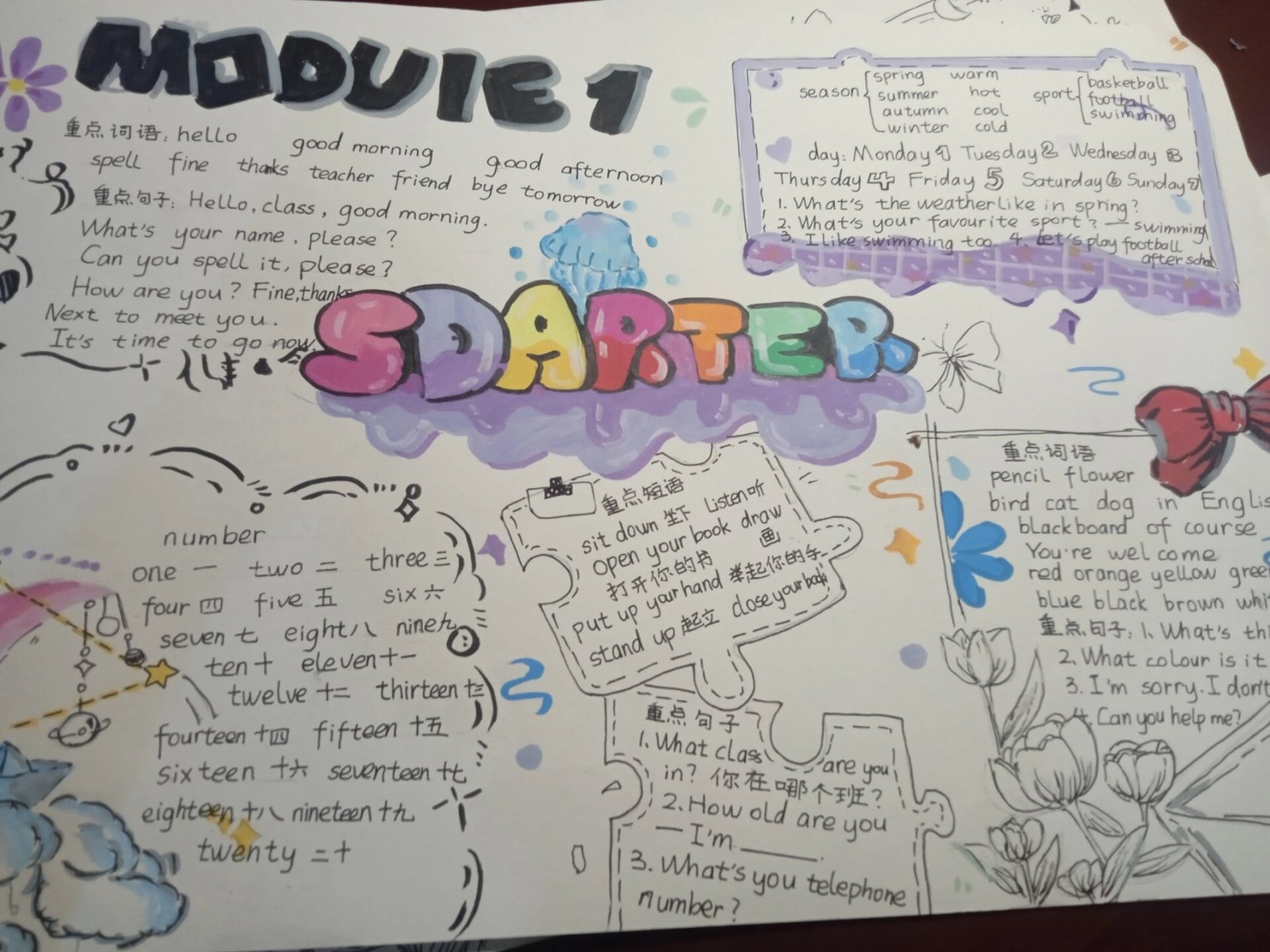 七年级上册英语手抄报