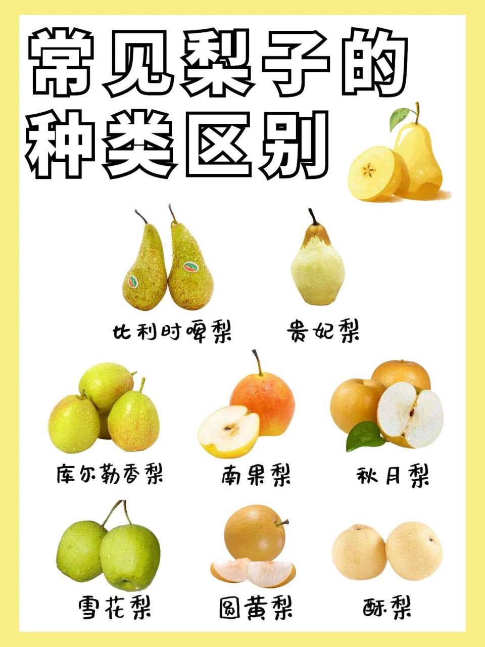 科普|八大梨子的种类,你最爱哪个?
