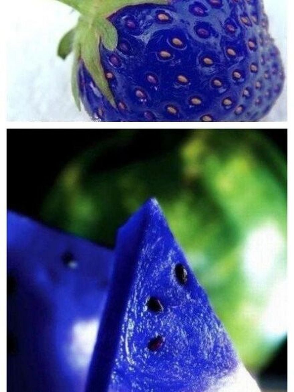 抑制食欲壁纸 蓝色抑制食欲的壁纸  既然下定不了迈开腿的决心,那先试