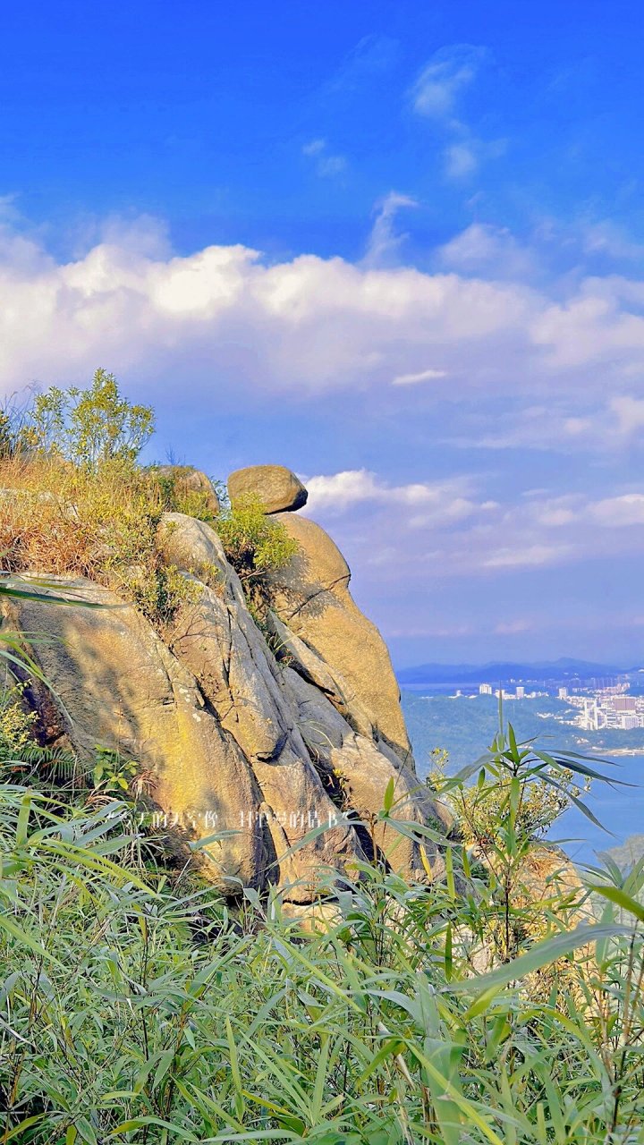 山顶可以俯瞰"日月贝"珠海大剧院,以及一路海岸线,风景是足可称道