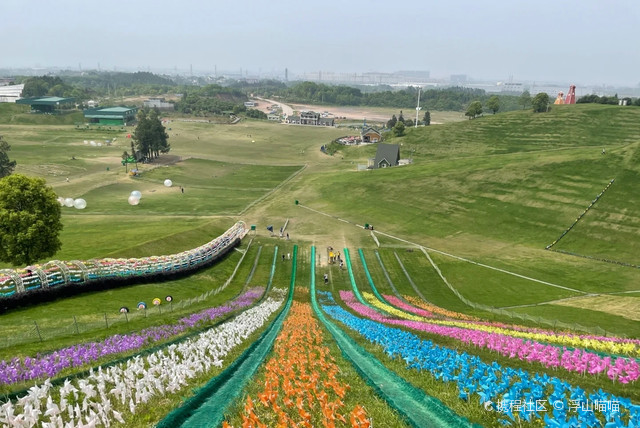 北川飞鸿滑草场图片