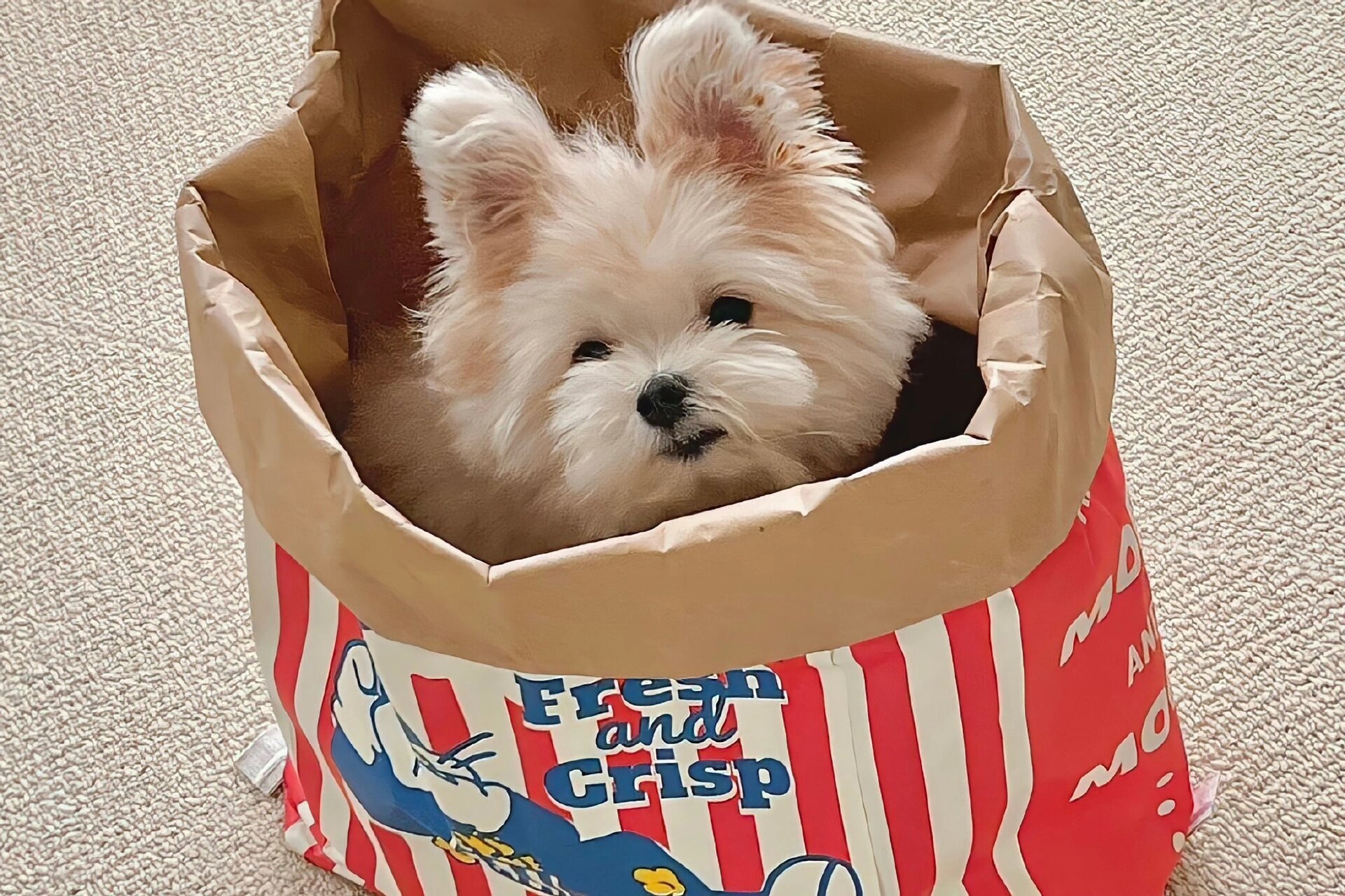 高级感电脑桌面壁纸 这么多壁纸总有你喜欢的一个吧?