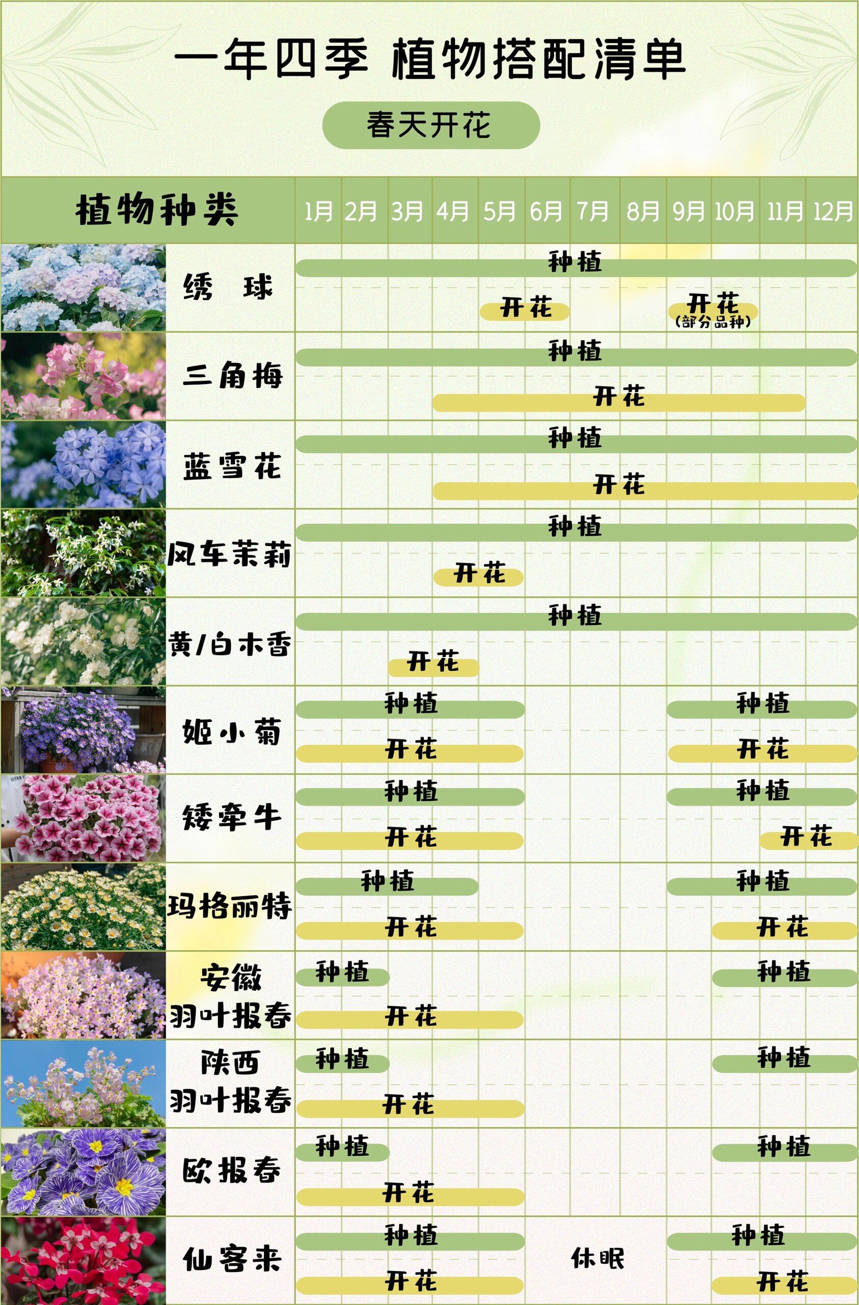 春夏秋冬植物搭配清单