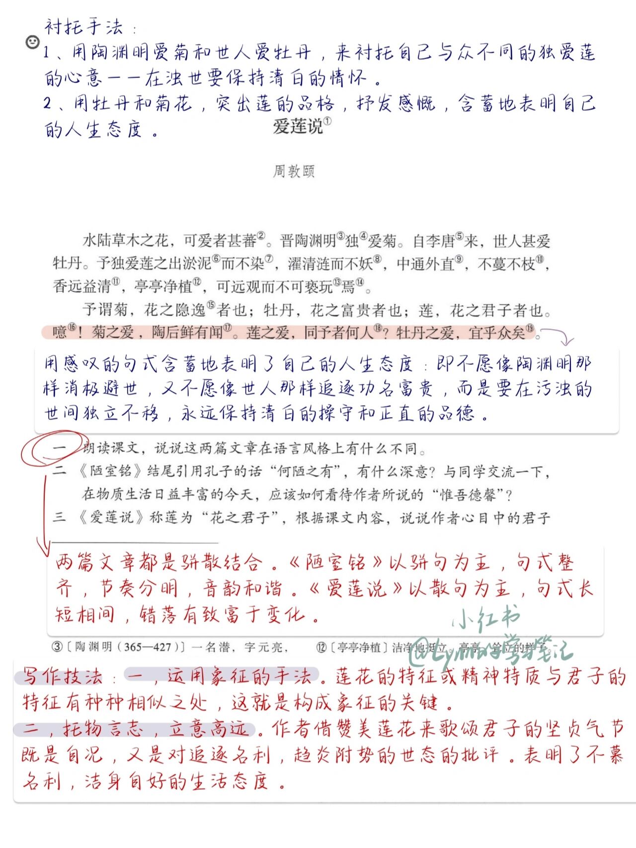 七年级下语文笔记|文言文《爱莲说