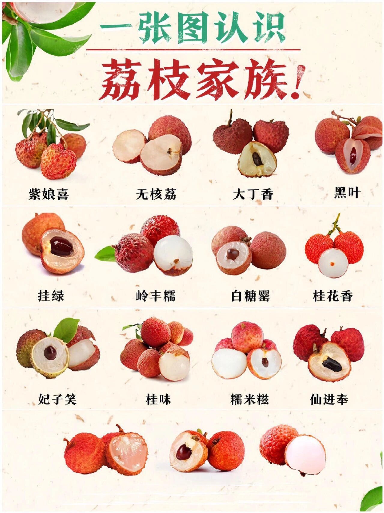 97种草推荐6015最好吃的荔枝四大品种6015