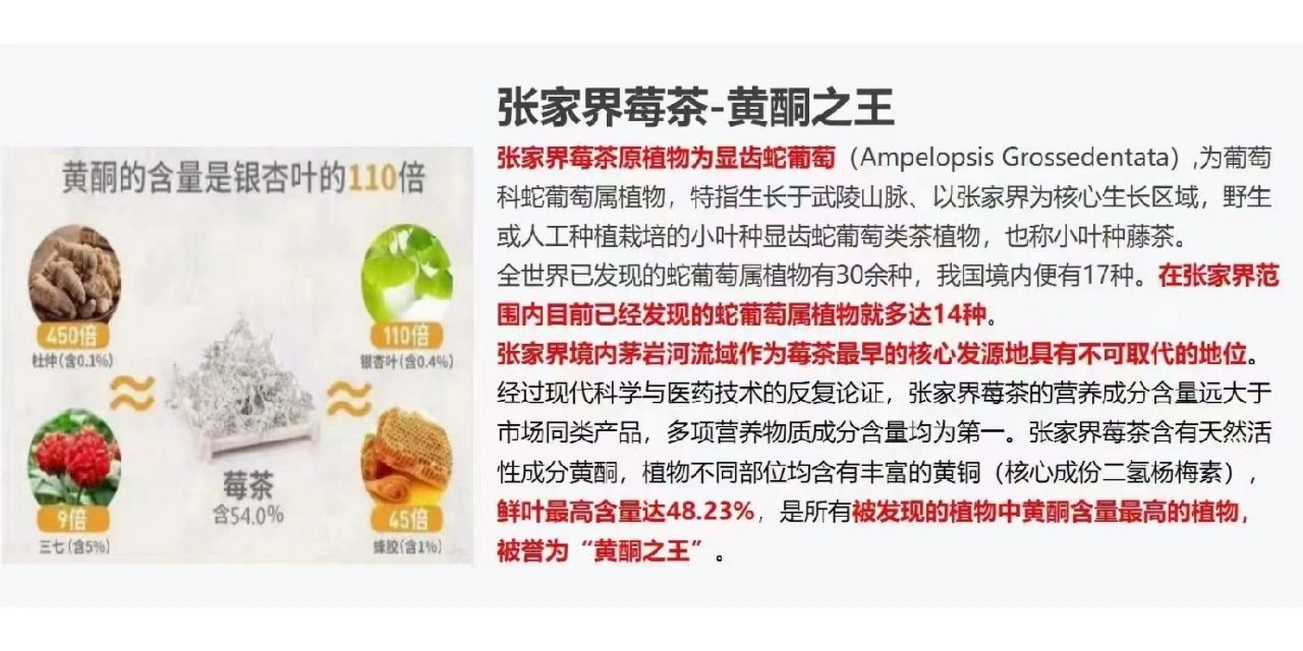 张家界莓茶的功效与禁忌,喝前必看 第一,张家界莓茶的功效与作用 1,莓