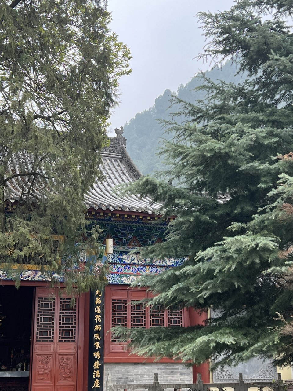西安弥陀寺|公交可直达南山脚下的千年古刹 "白玉缀枝头,无绿也无愁.