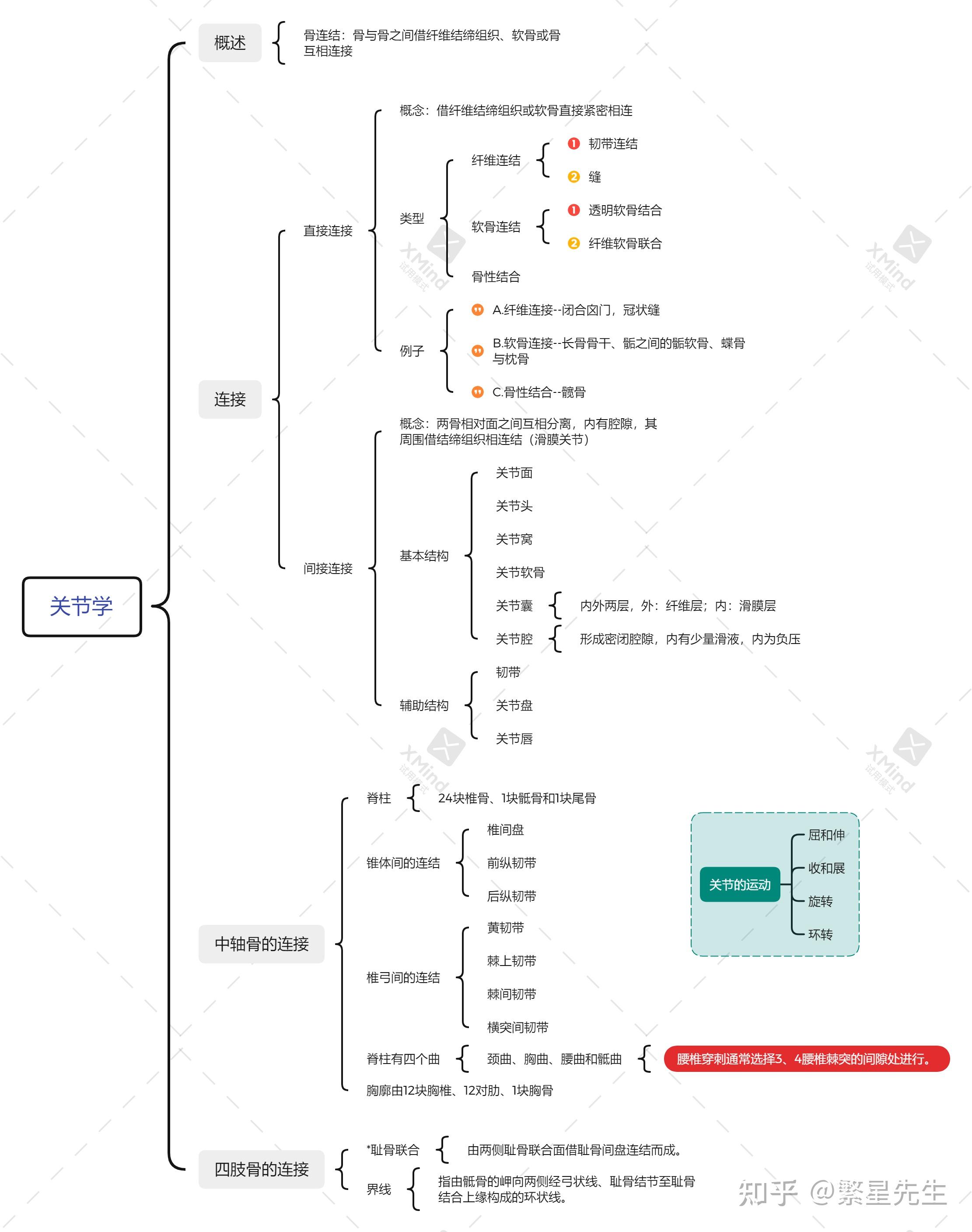 骨学的知识框架图图片