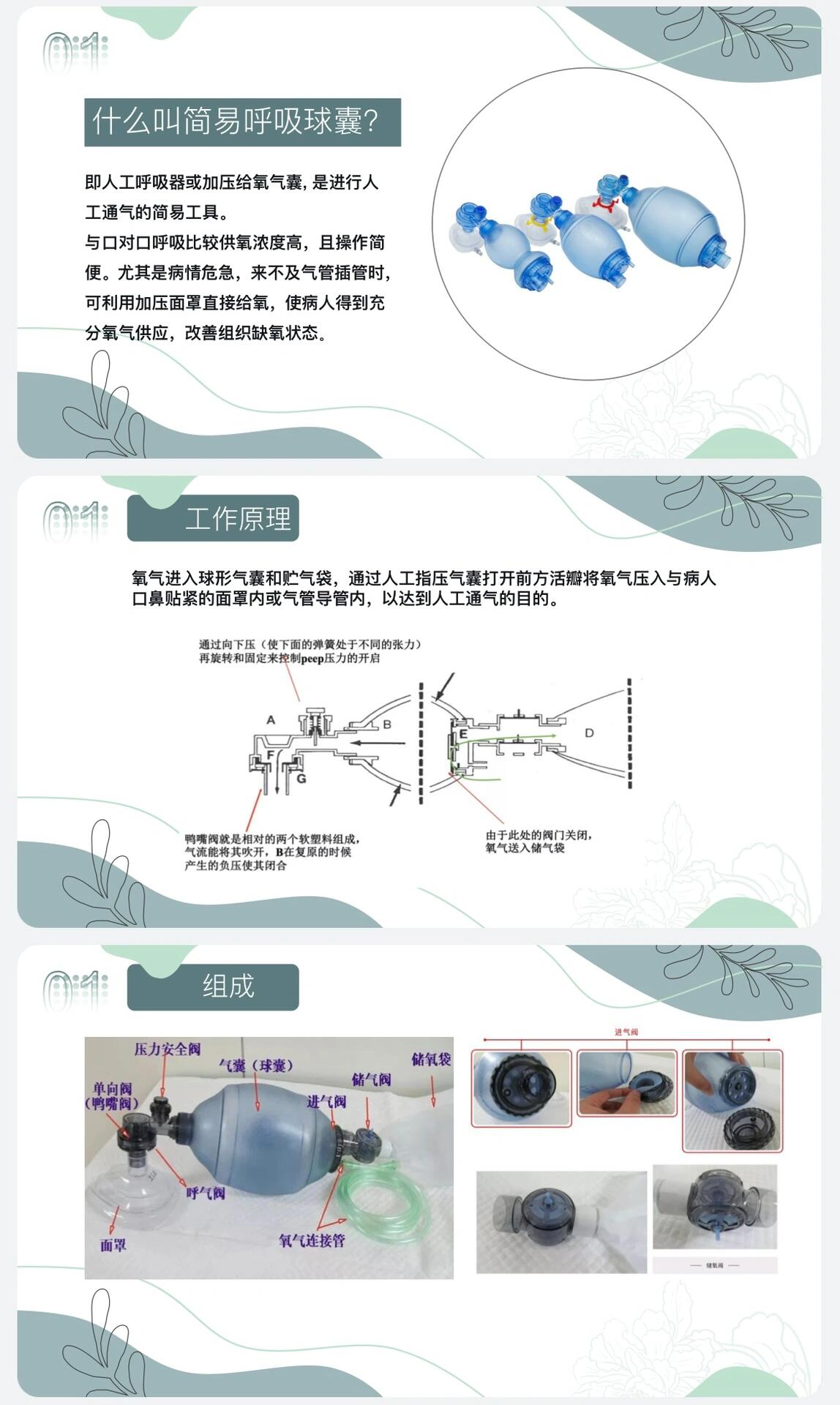 简易呼吸气囊ppt最新图片