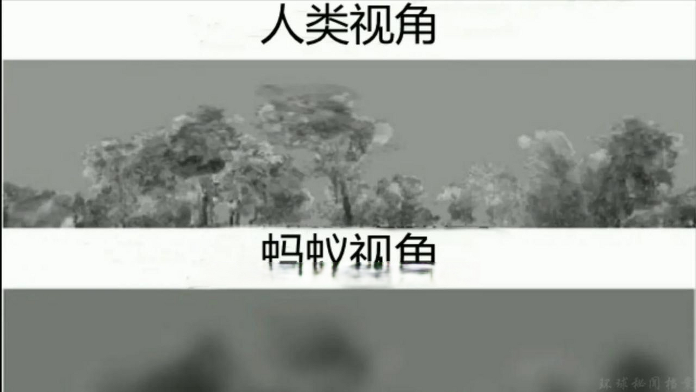 什么叫降维打击图片