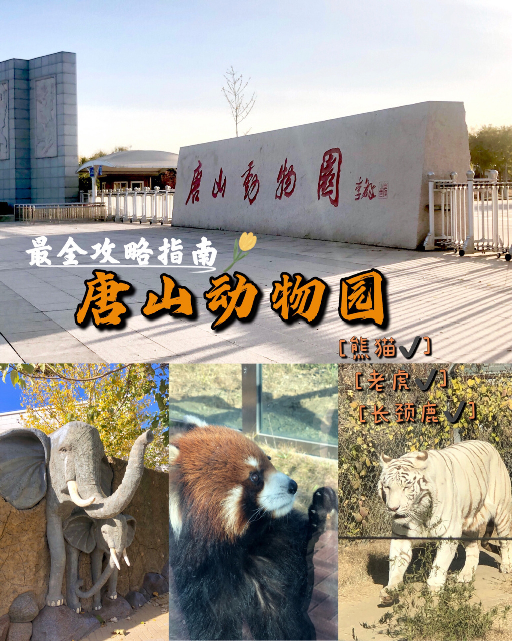 唐山动物园门票图片