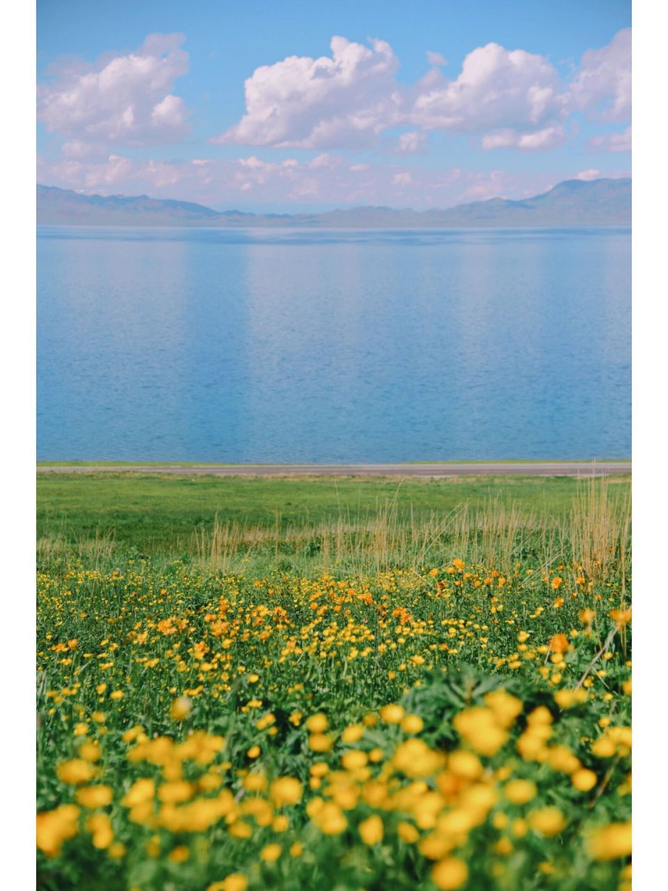 赛里木湖花海几月份图片