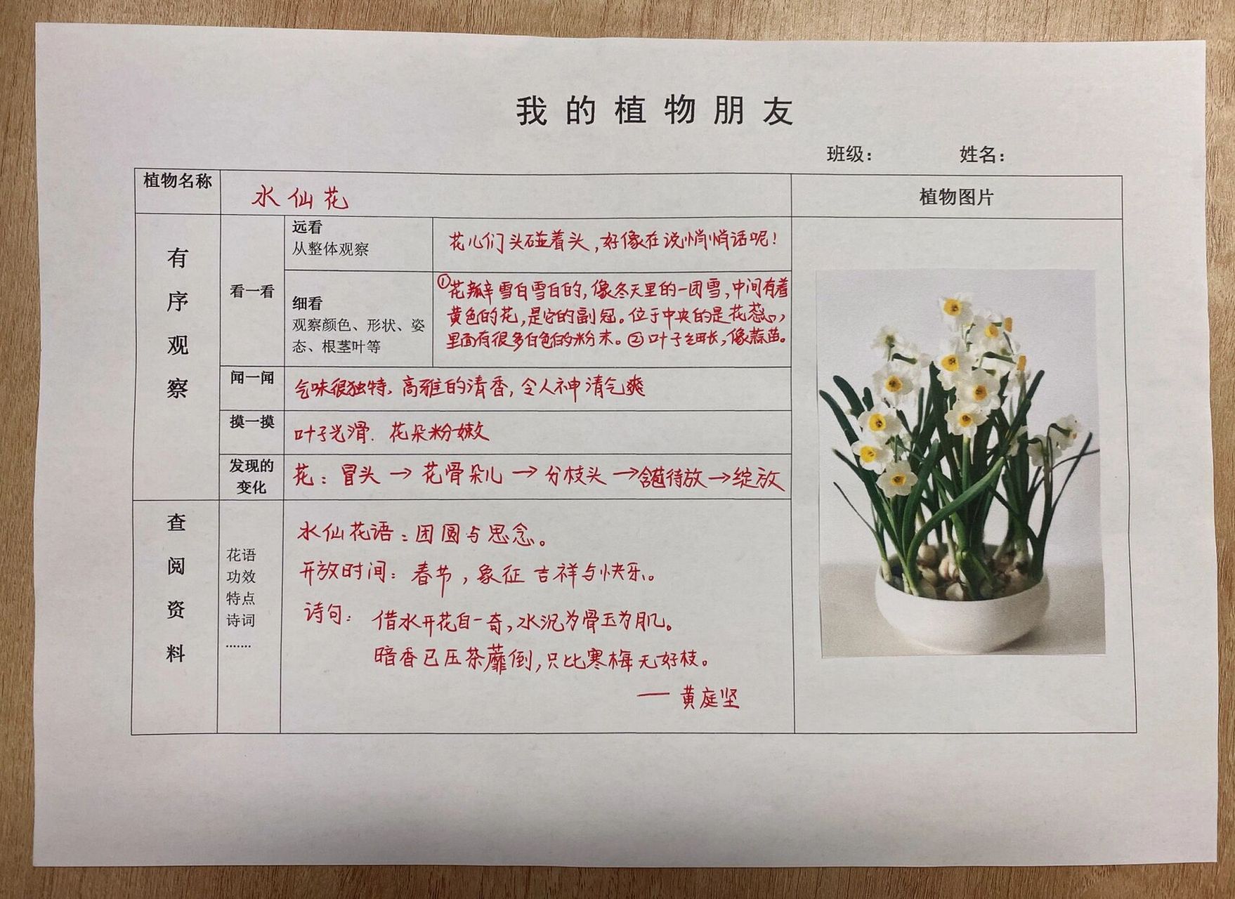 三下习作:我的植物朋友(记录卡)【原创】 习作指导前置课程.