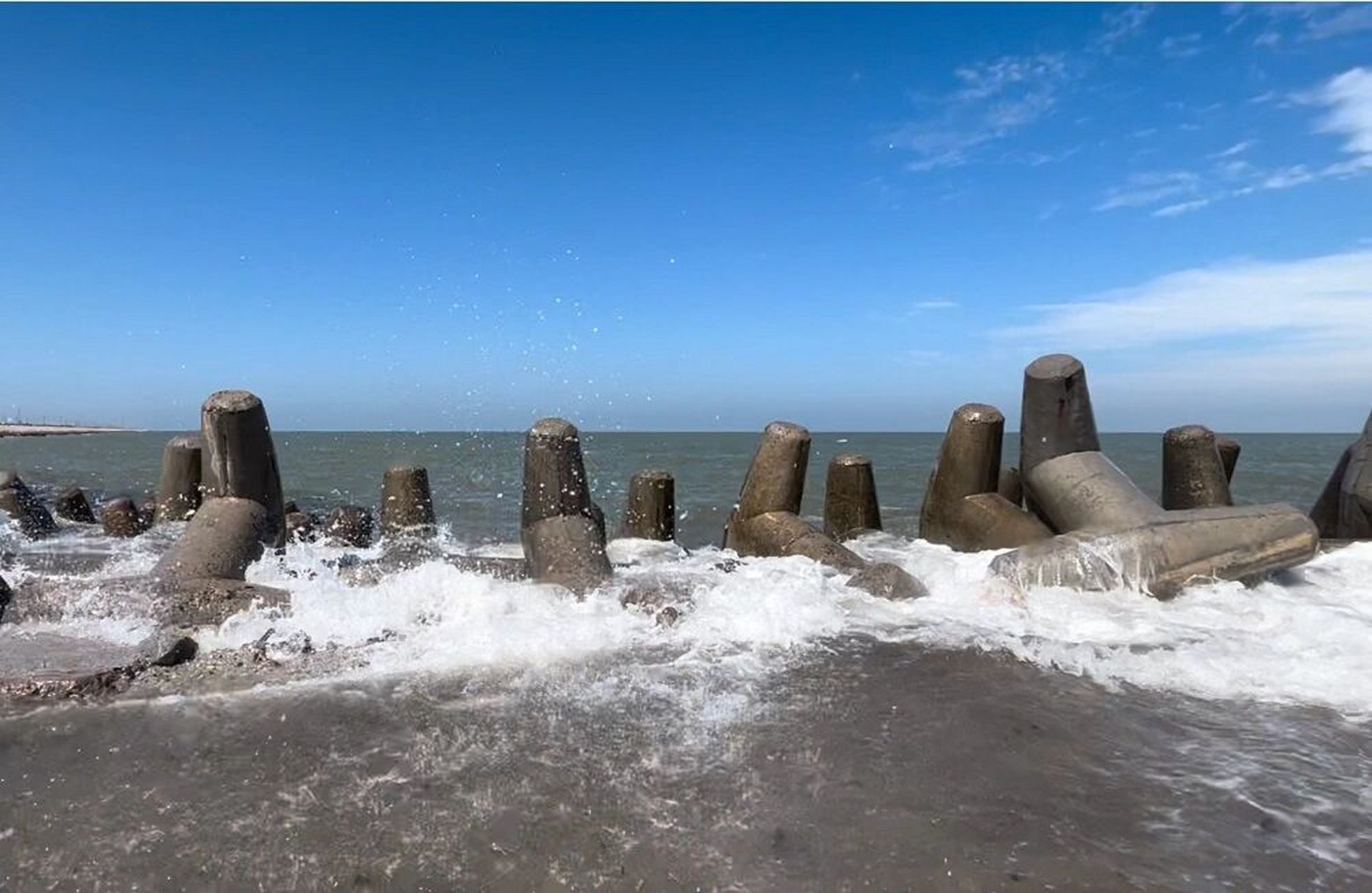 东营 孤东海堤一日游🛣️ 离济南很近 可以看的到海的地方🌊 图