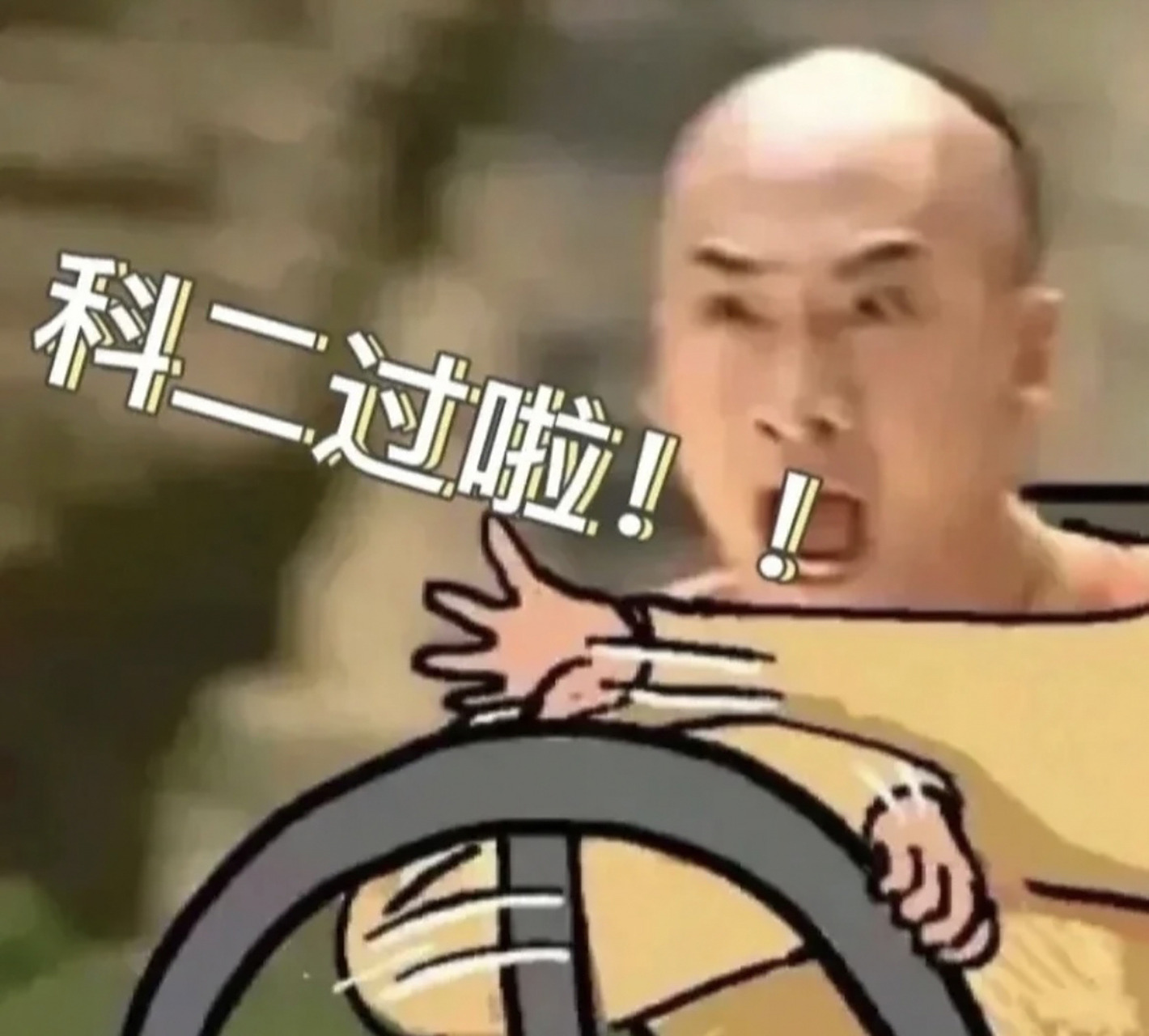 科二过啦!终于到我用这个表情包了 一把过太开心啦!