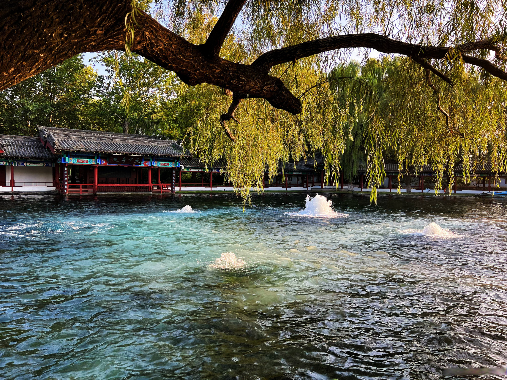 城市巡游记##秋游季# 济南百脉泉via/n/姜仁威·>姜仁威